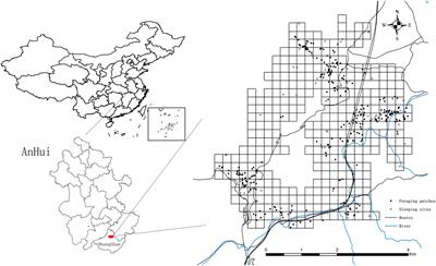 Sleeping sites provide new insight into multiple central place foraging strategies of Tibetan macaques (Macaca thibetana)